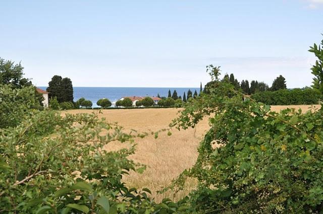 Bungalow Leo Savudrija Esterno foto